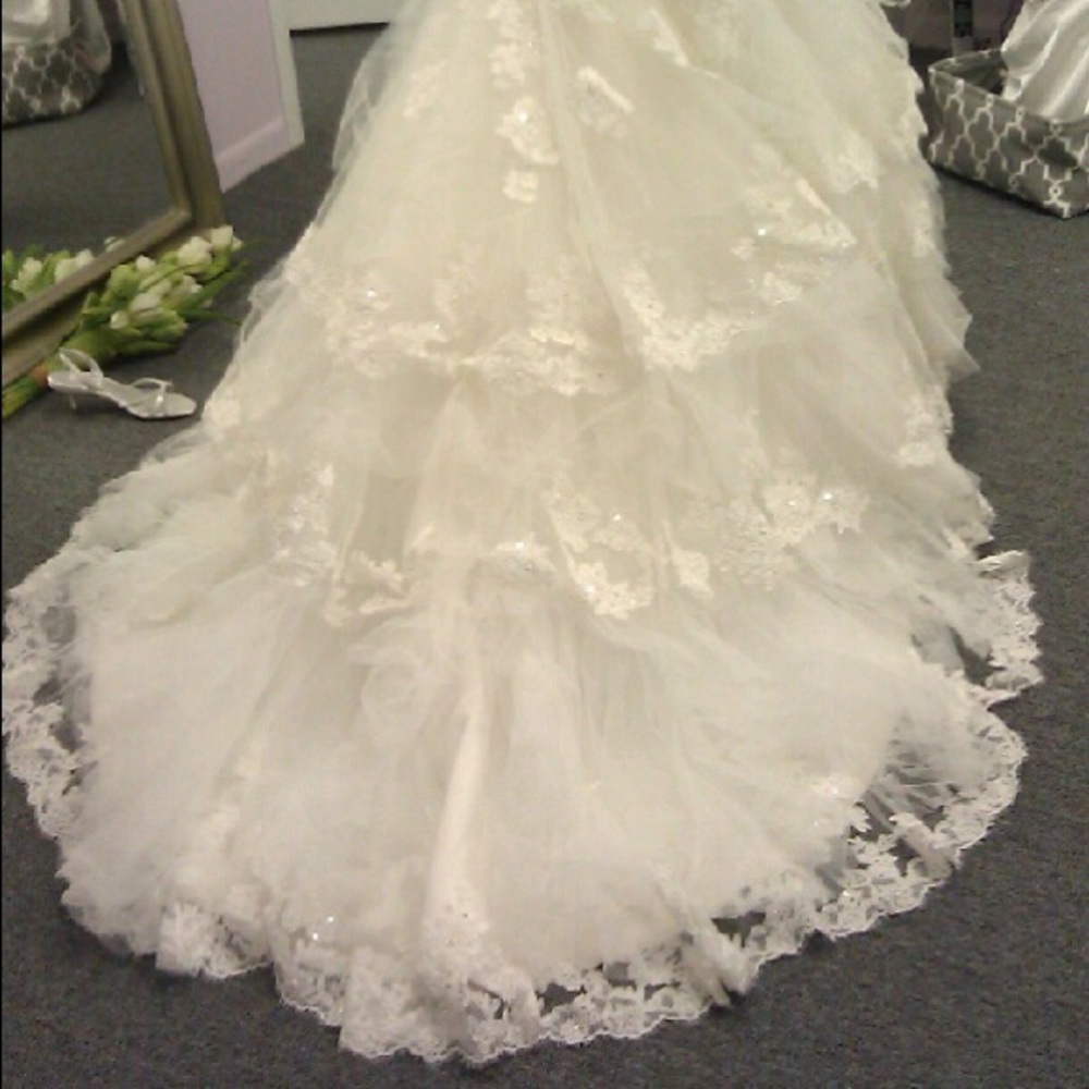 Maggie Sottero Wedding Gown - Picture 4 of 4